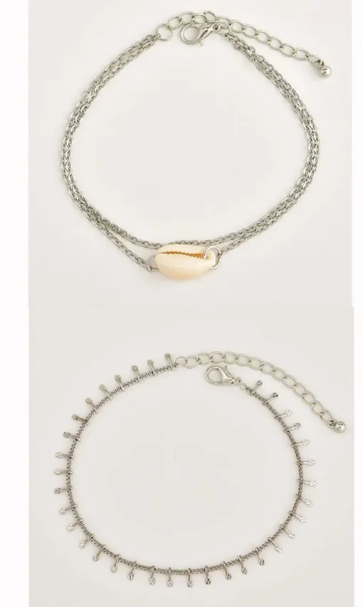 Fusskette Mollusco
