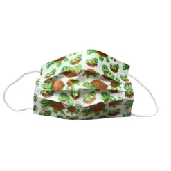 Kindermasken Einwegmasken Schildkrötli